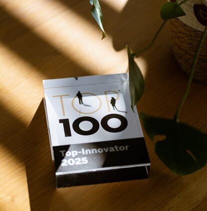 Das Siegel des TOP 100 Innovationswettbewerb auf einem Holztisch. Es fallen Sonnenstrahlen über das Siegel, ein Blatt einer Pflanze hängt leicht in das Bild